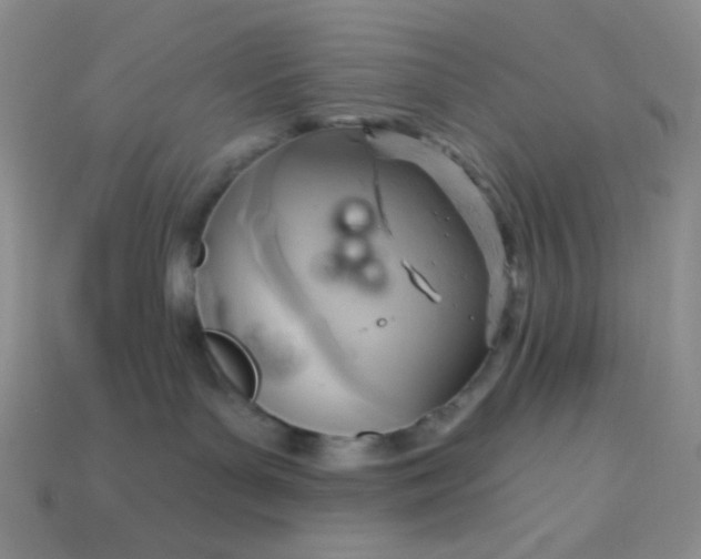 X0000113960143200910091637