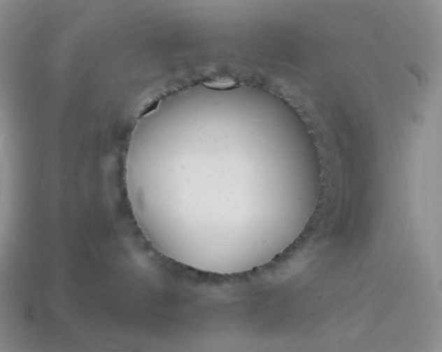 X0000113960144200910091637