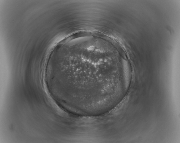 X0000113960145200910091636