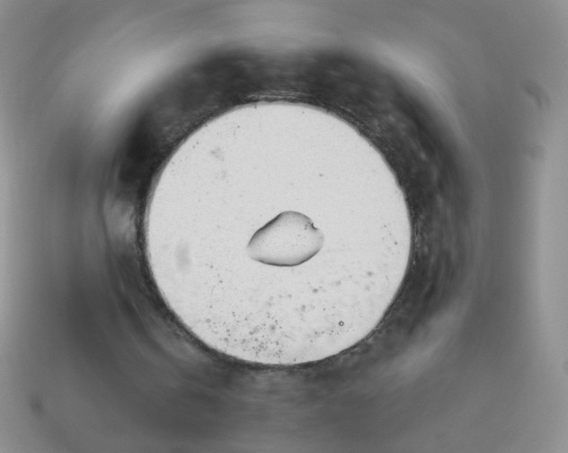 X0000113960146200910091636