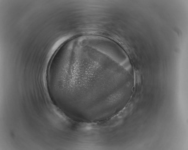 X0000113960147200910091636