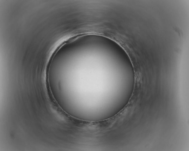 X0000113960148200910091636