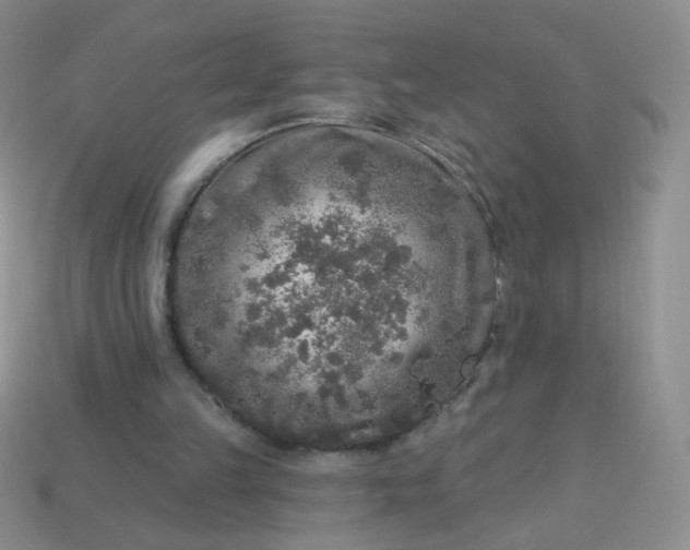 X0000113960149200910091636