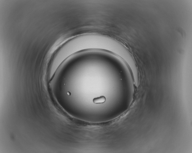 X0000113960150200910091636