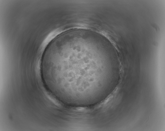 X0000113960151200910091636