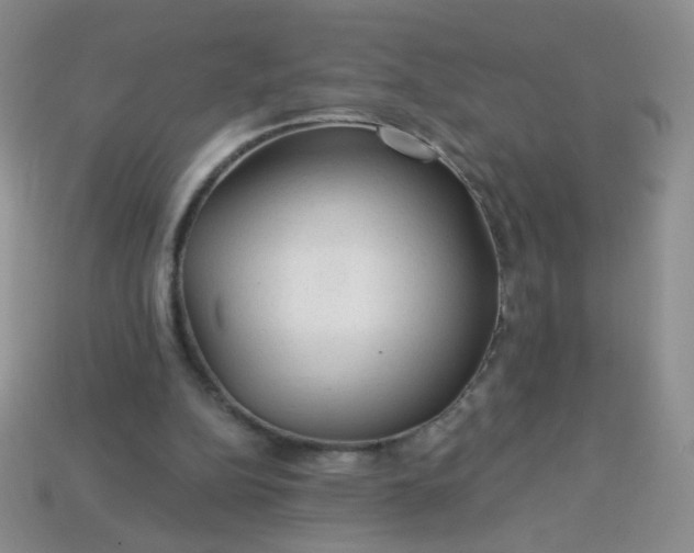 X0000113960152200910091636