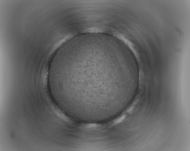 X0000113960153200910091636