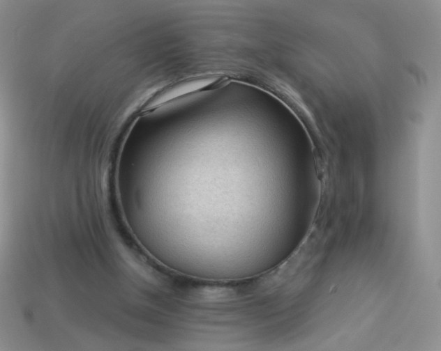 X0000113960154200910091636