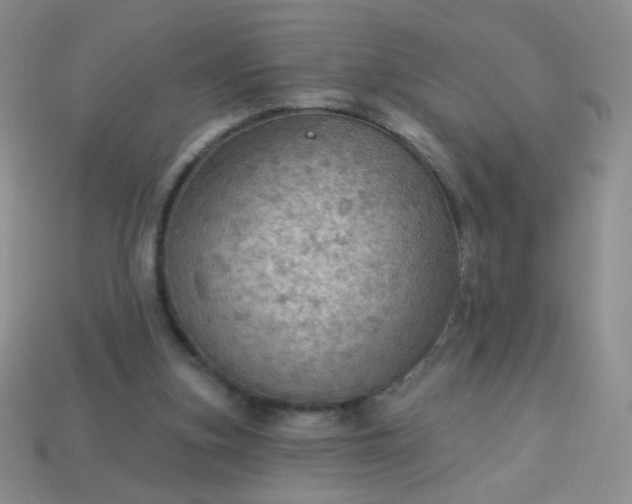 X0000113960155200910091636