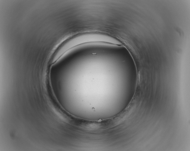 X0000113960156200910091636