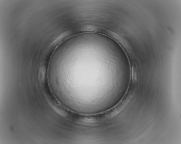 X0000113960157200910091636