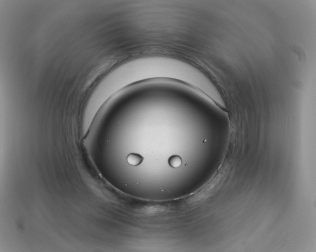 X0000113960158200910091636