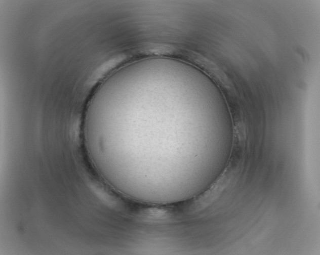 X0000113960159200910091636