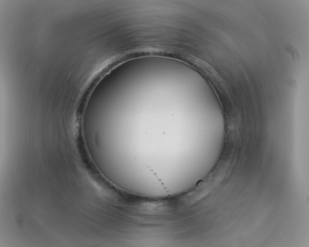 X0000113960160200910091636