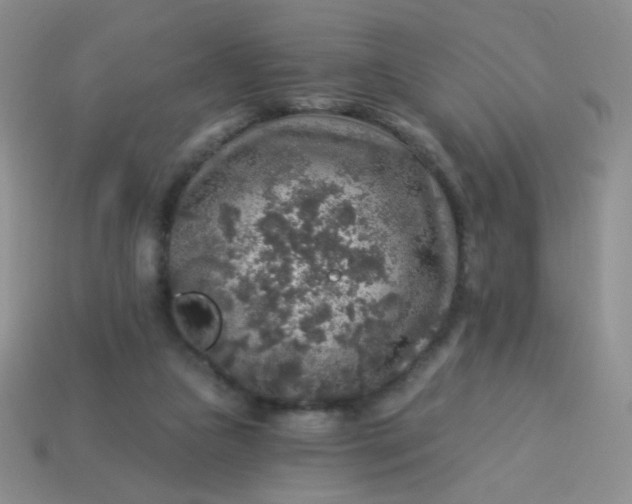 X0000113960161200910091636