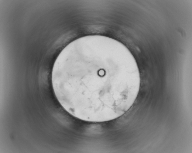 X0000113960162200910091636