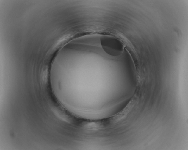 X0000113960163200910091636