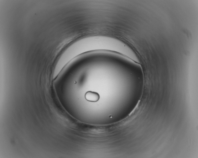 X0000113960164200910091636