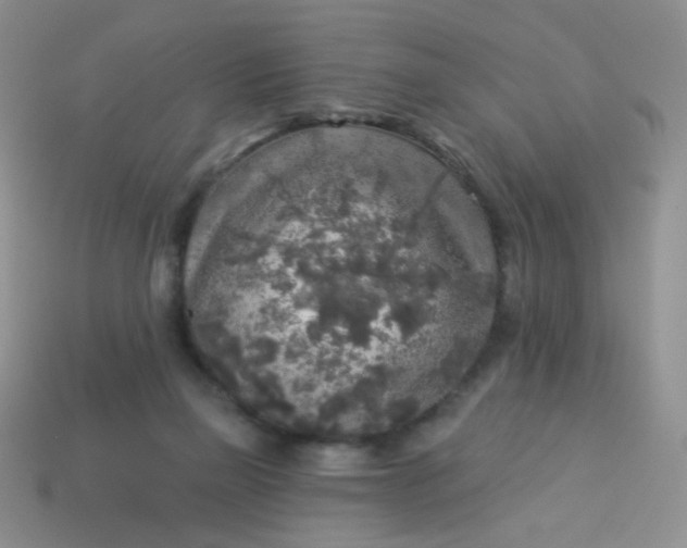 X0000113960165200910091636