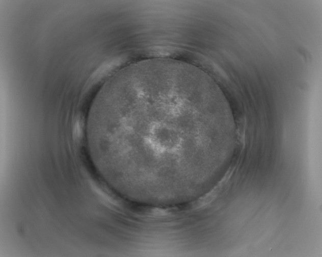 X0000113960166200910091636