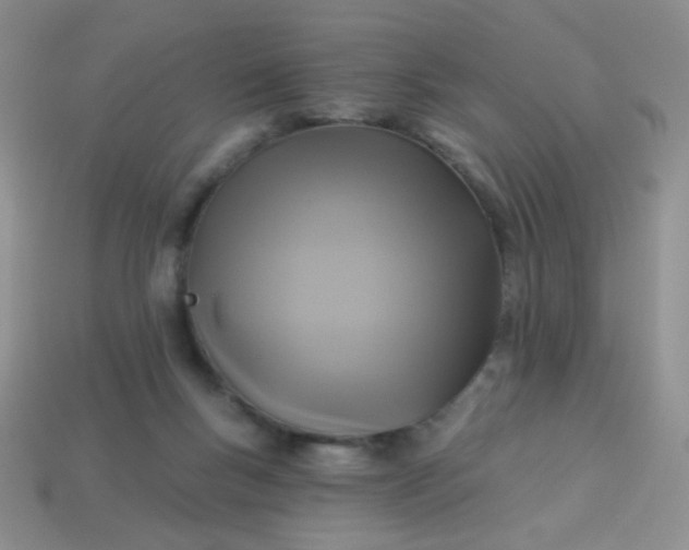 X0000113960167200910091636