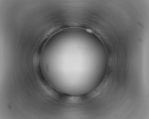 X0000113960168200910091636