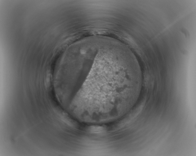 X0000113960169200910091636