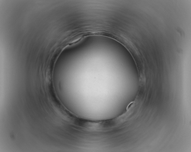 X0000113960170200910091636