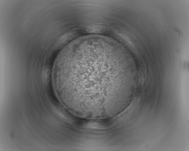 X0000113960171200910091636