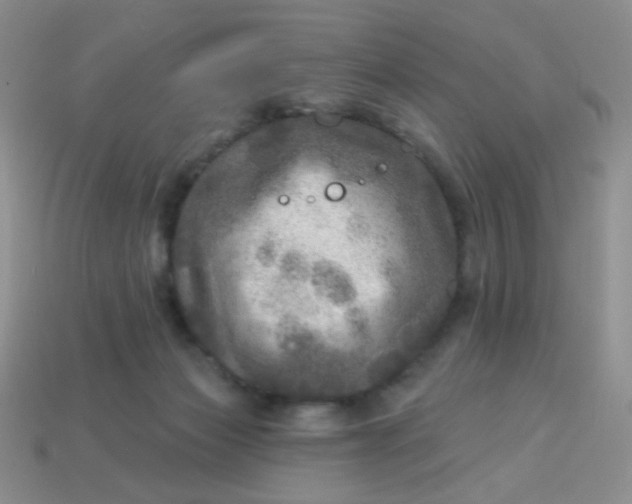 X0000113960173200910091636