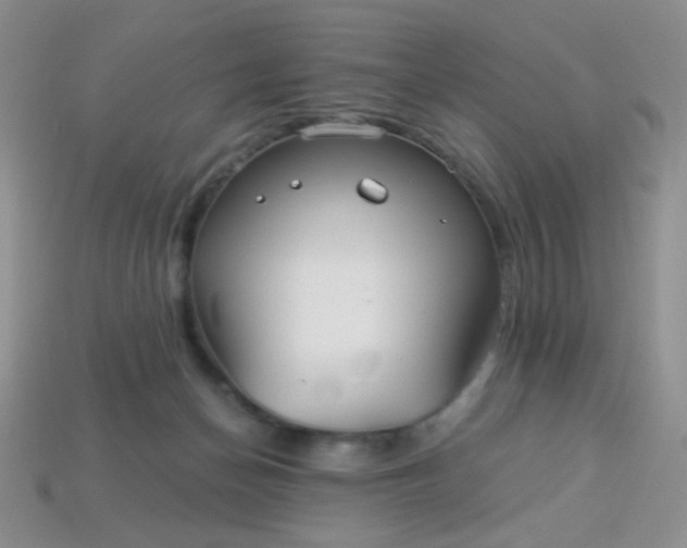 X0000113960174200910091636