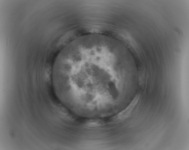 X0000113960175200910091636