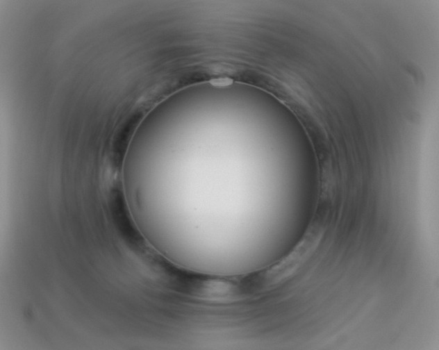 X0000113960176200910091636