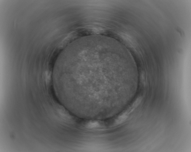 X0000113960177200910091636