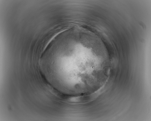 X0000113960178200910091636