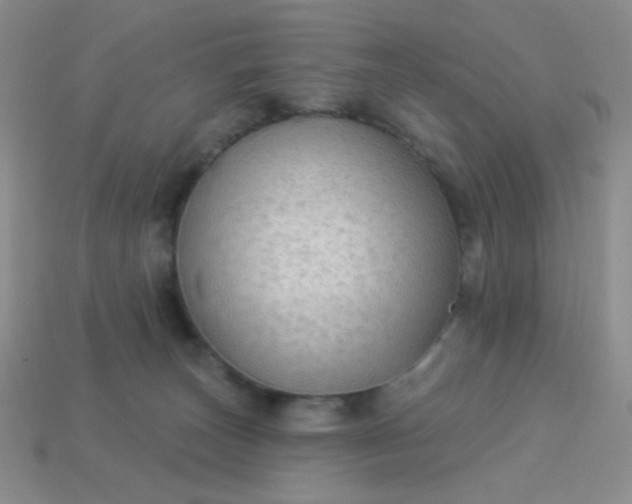 X0000113960179200910091636