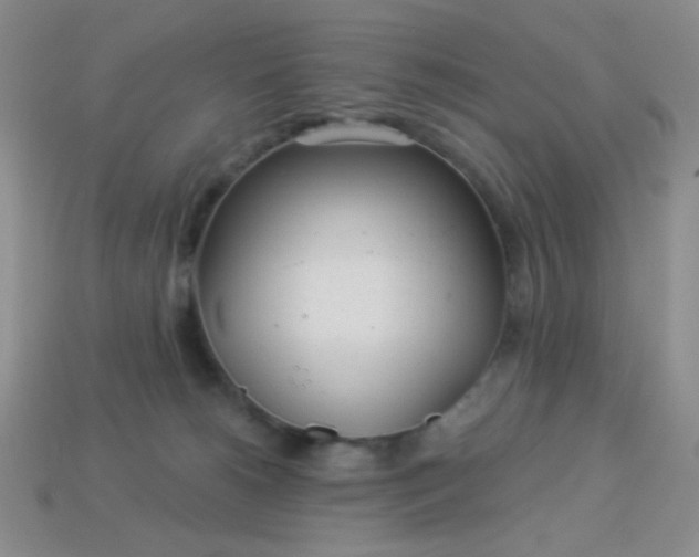 X0000113960180200910091636