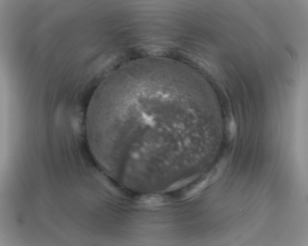 X0000113960181200910091636