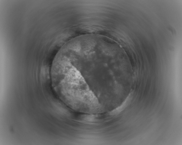 X0000113960182200910091636