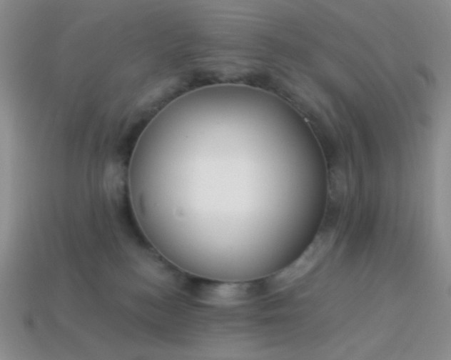 X0000113960184200910091636