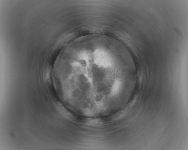 X0000113960185200910091636