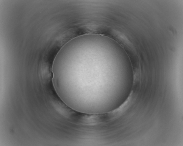 X0000113960186200910091636