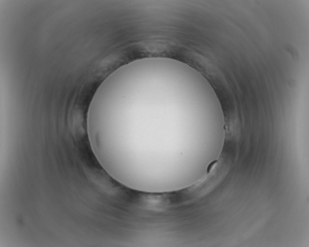 X0000113960187200910091636