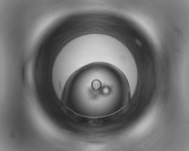 X0000113960189200910091636