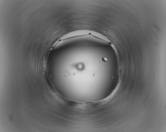 X0000113960190200910091636