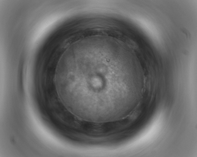 X0000113960191200910091636