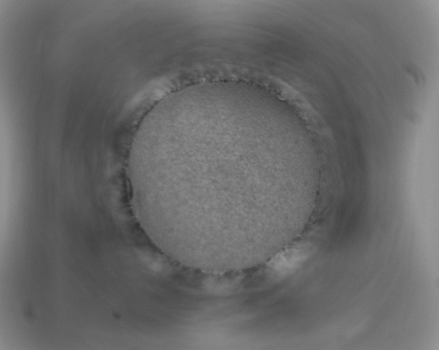 X0000113960192200910091637