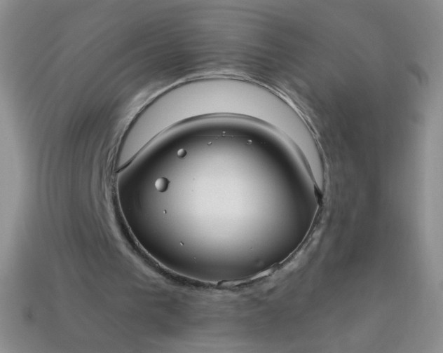 X0000113960193200910091636