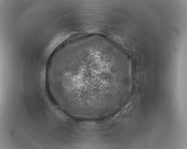 X0000113960194200910091636