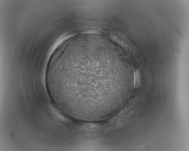 X0000113960195200910091636